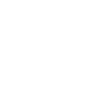 Barkhausen Institut
